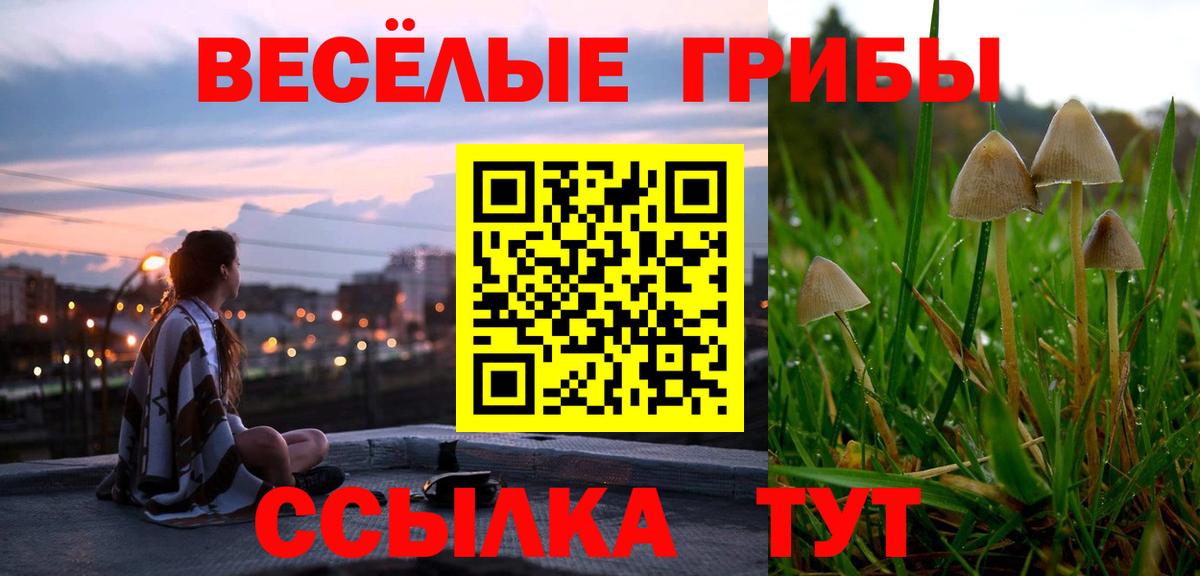 Десногорск  Псилоцибиновые грибы прущие грибы  Вход с VPN 