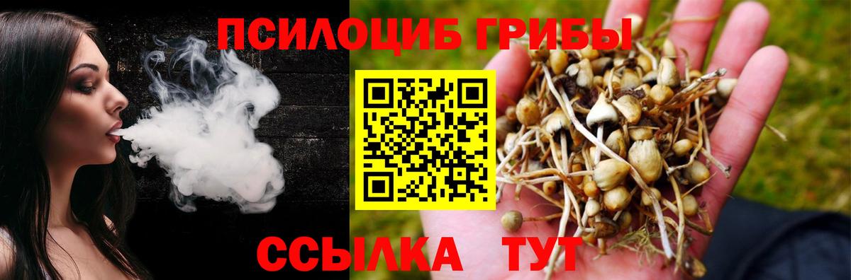 Галлюциногенные грибы мухоморы Десногорск